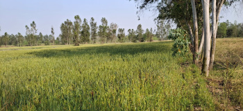 Property for sale in Purquazi, Muzaffarnagar