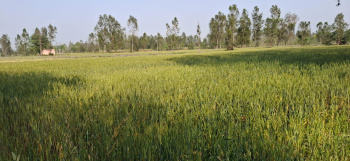 Property for sale in Purquazi, Muzaffarnagar