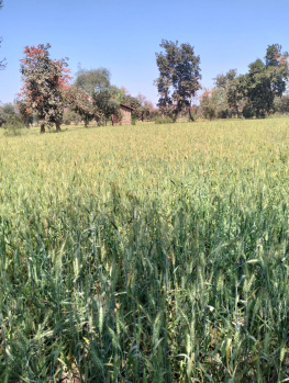 Property for sale in Sihora, Jabalpur