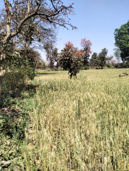 Property for sale in Sihora, Jabalpur