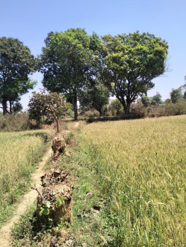 Property for sale in Sihora, Jabalpur