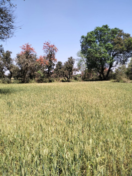 Property for sale in Sihora, Jabalpur