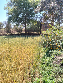 Property for sale in Sihora, Jabalpur