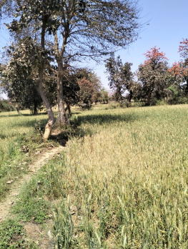 Property for sale in Sihora, Jabalpur