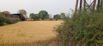 Property for sale in Panagar, Jabalpur