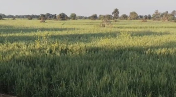 Property for sale in Bahoriband, Katni