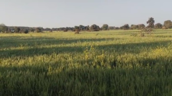 Property for sale in Bahoriband, Katni