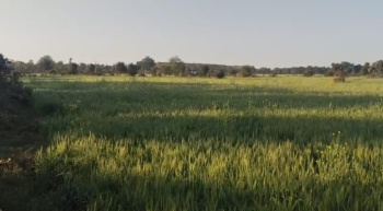 Property for sale in Bahoriband, Katni