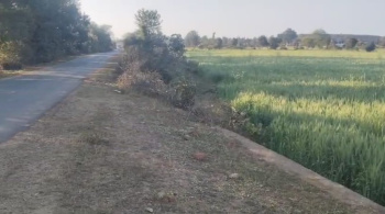 37 Acres Agriculture Land for Sale