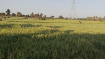 Property for sale in Bahoriband, Katni