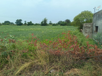 Property for sale in Shahpura, Jabalpur
