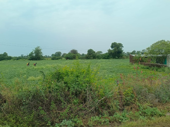 5 Acre Agriculture land for commercial use
