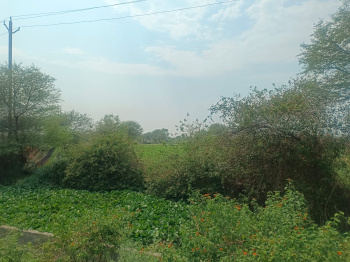 40 Acres Agriculture Land for Sale