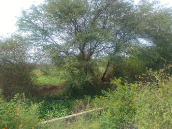 Property for sale in Adhartal, Jabalpur