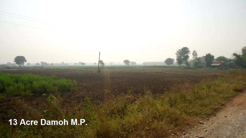 Agricultural/Farm Land for Sale in Damoh (13 Acre)