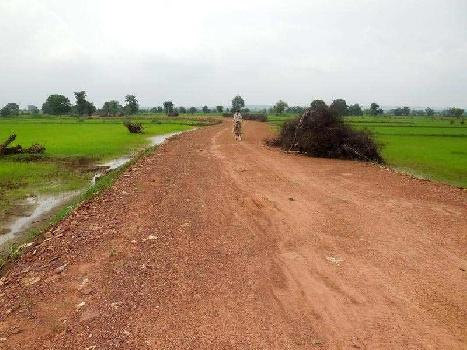 Agricultural/Farm Land for Sale in Damoh (42 Acre)