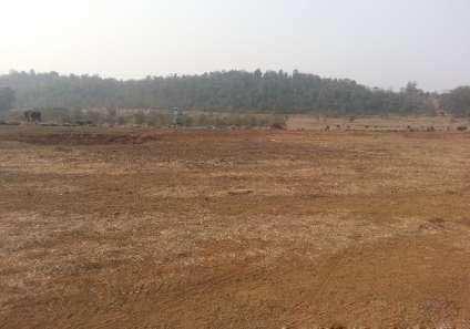 Agricultural/Farm Land for Sale in Damoh (15 Acre)