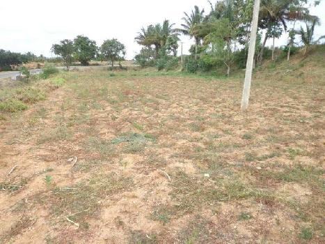 Agricultural/Farm Land for Sale in Damoh (2.5 Acre)
