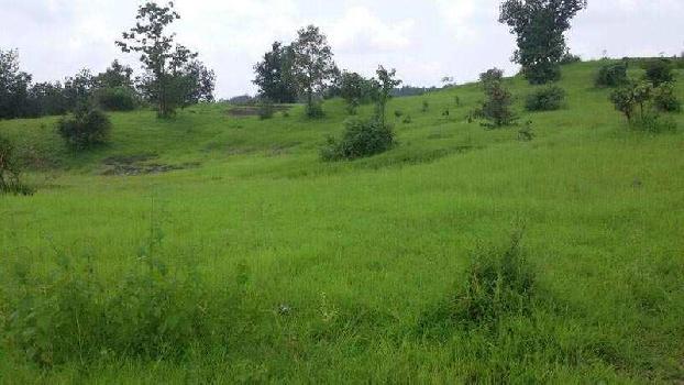 Agricultural/Farm Land for Sale in Damoh (2 Acre)