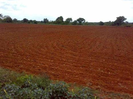 100 Acres Land for Agriculture