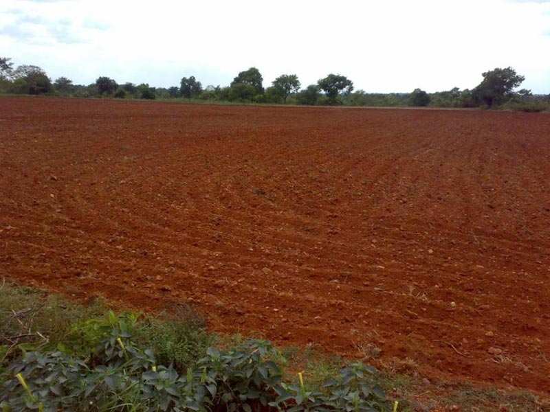 100 Acres Land for Agriculture
