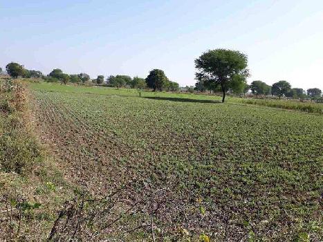 Agricultural/Farm Land for Sale in Damoh