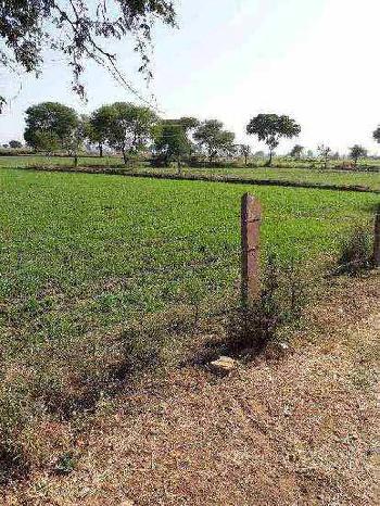 Agricultural/Farm Land for Sale in Damoh