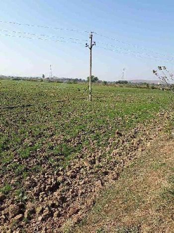 Agricultural/Farm Land for Sale in Damoh (540 Acre)
