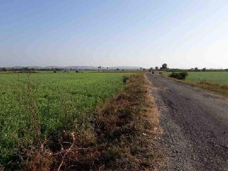 Agricultural/Farm Land for Sale in Damoh