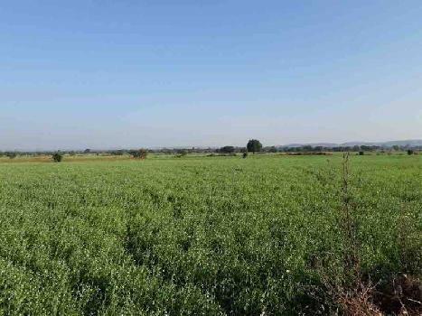 Agricultural/Farm Land for Sale in Damoh