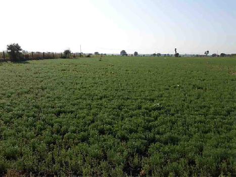 Land Are Available  For Sale in Affordable Price