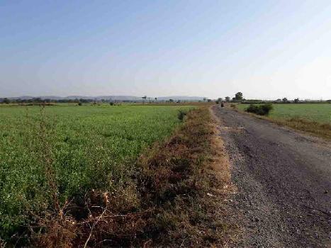 Land Are Available  For Sale in Affordable Price