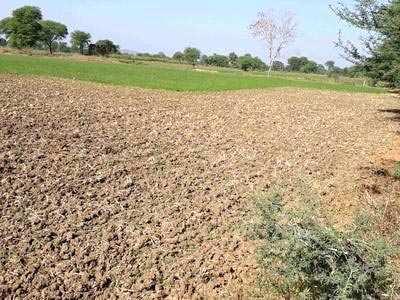 Agricultural Land for sale at Damoh, M P