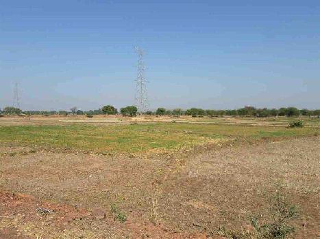 Agricultural/Farm Land for Sale in Damoh (350 Acre)