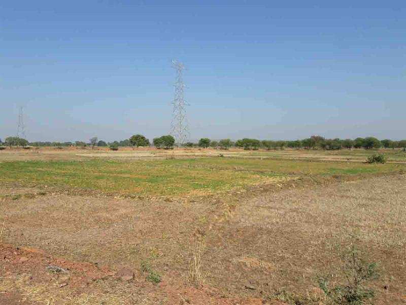 Agricultural/Farm Land for Sale in Damoh (350 Acre)