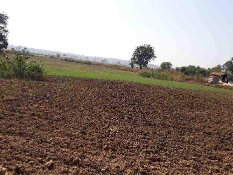 Agricultural/Farm Land for Sale in Damoh (40 Acre)