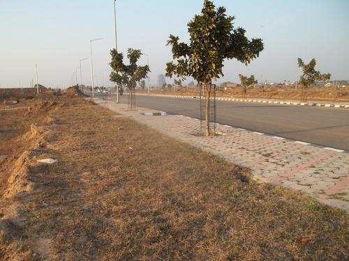 200 Sq Yard East Facing, Block- B, Sector- 6, Eco City Phase- 1, New Chandigarh