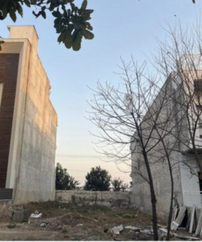 Residential Plot for Sale in Sector 77, Mohali (125 Sq. Yards)