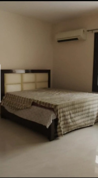 Independent House for Rent in Sector 21, Chandigarh (20 Marla)
