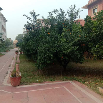 370 gaz plot for sale Javahar Nagar Khandari