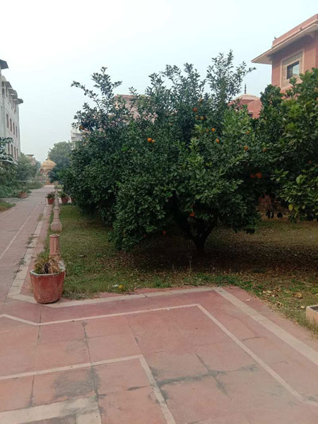 370 Gaz Plot For Sale Javahar Nagar Khandari