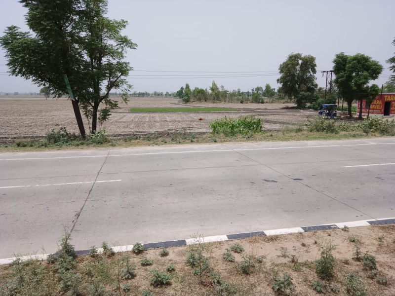 Agricultural/Farm Land For Sale In Patran Road, Sangrur (6 Acre)