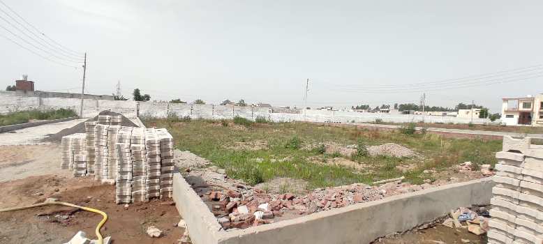 975 Sq.ft. Residential Plot for Sale in Verka Milk Plant, Jalandhar