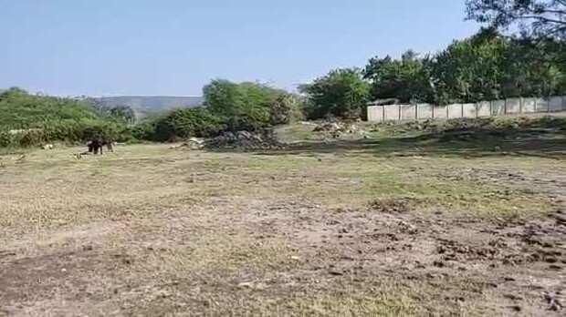 5 Bigha Commercial Lands /Inst. Land for Sale in Girwa, Udaipur
