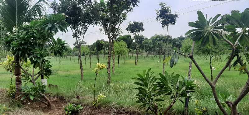 108 Bigha Agricultural/Farm Land for Sale in Baroda Express Highway, Ahmedabad