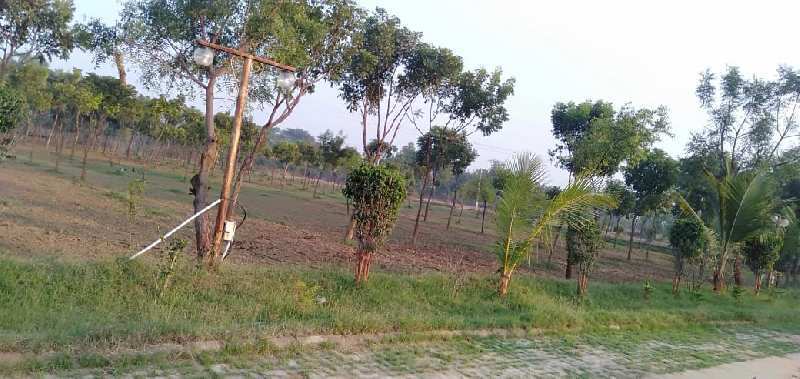 108 Bigha Agricultural/Farm Land for Sale in Baroda Express Highway, Ahmedabad