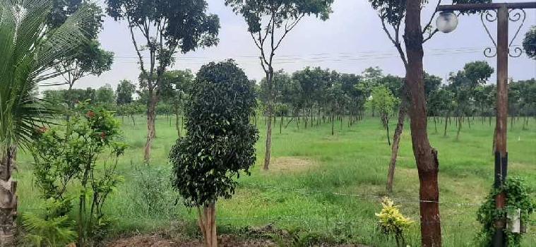 2.05 Bigha Agricultural/Farm Land for Sale in Dabok, Udaipur