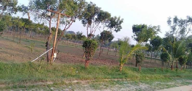 1 Bigha Agricultural/Farm Land for Sale in Dabok, Udaipur