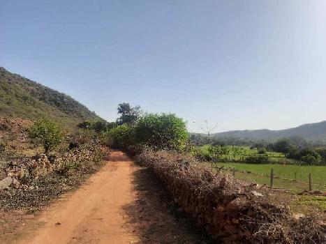 10 Bigha Agricultural/Farm Land for Sale in Bargaon, Udaipur