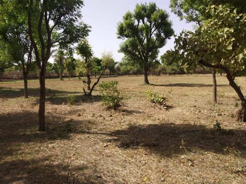 10 Bigha Agricultural/Farm Land for Sale in Dabok, Udaipur